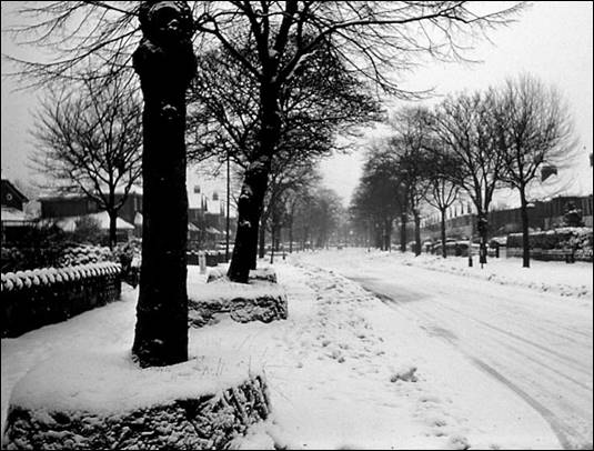 Snow 1961