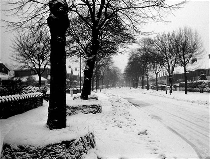 Snow 1961