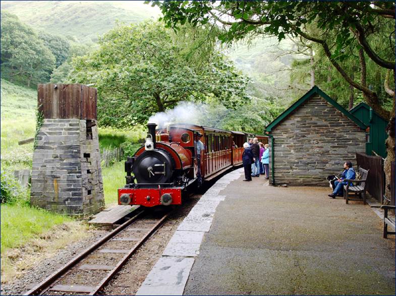 TR.Dolgoch.2011.jpg